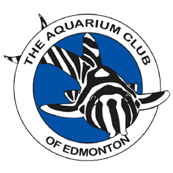 Aquarium Club of Edmonton